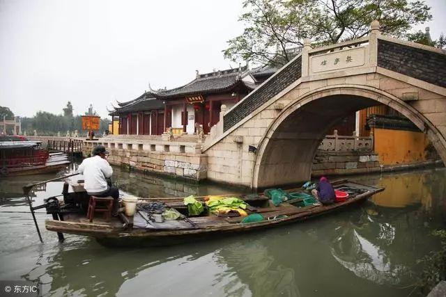 救援可爱的洋葱